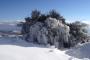 images/com_fwgallery/files/51/14eafc3908014d160695ca334d334bdd.jpg