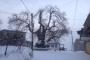 images/com_fwgallery/files/51/48069effeea594fb6a48142db6808ab3.jpg