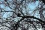 images/com_fwgallery/files/51/7e6e4f7d3655651060d41860786189bd.jpg
