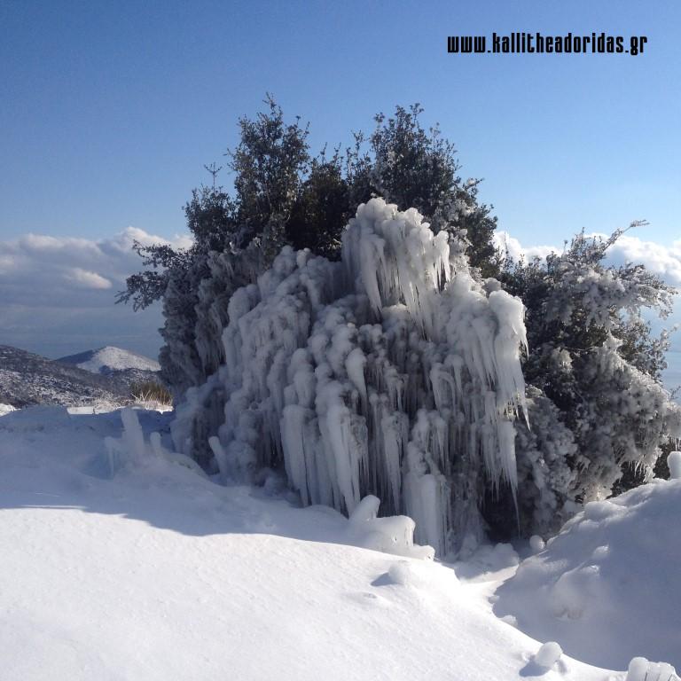 IMG_5071