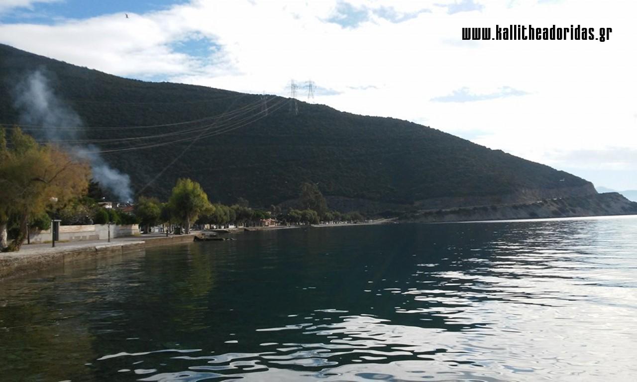 1884_826684830792286_7778234964070314797_n