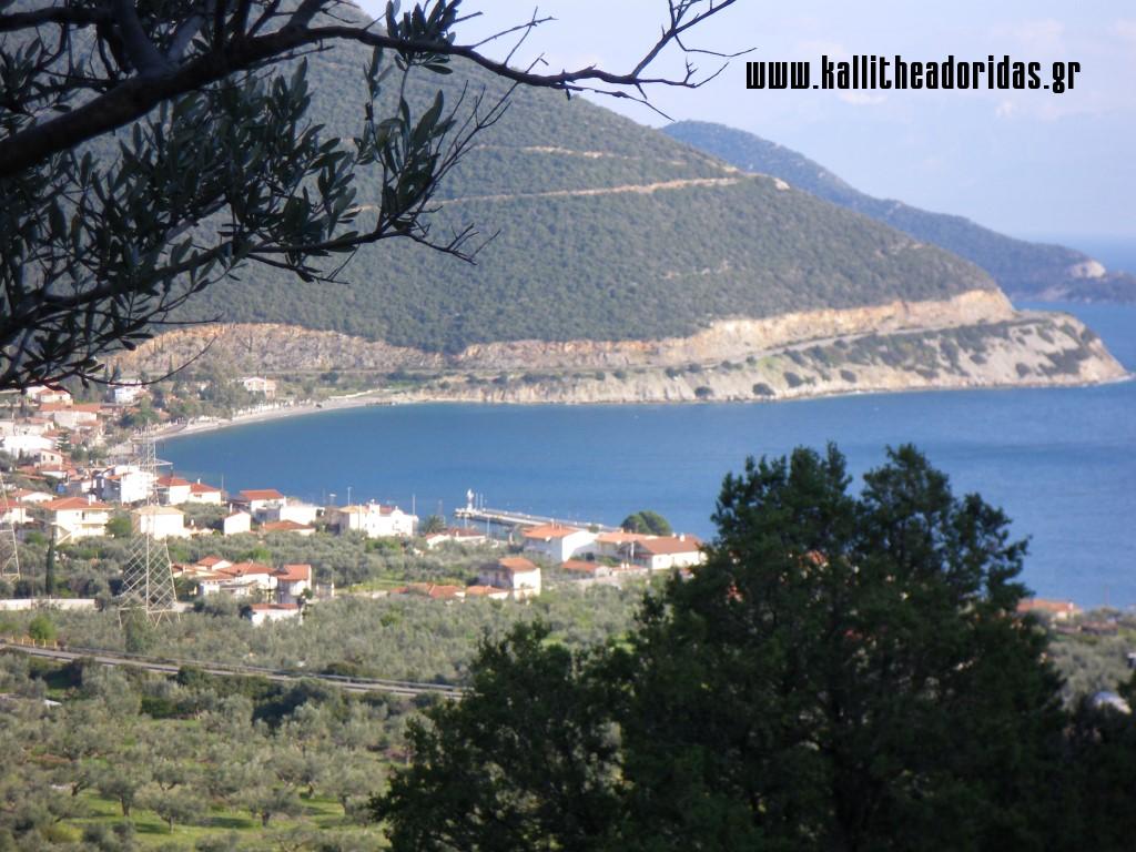 IMGP0669