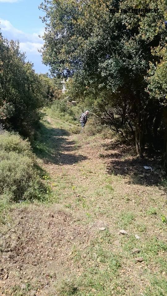 m1 (8)